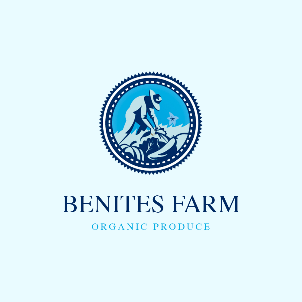 Logo Design - Premium Package
