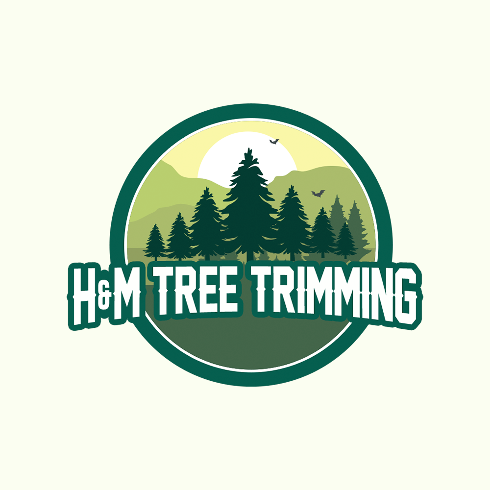 Logo Design - Premium Package